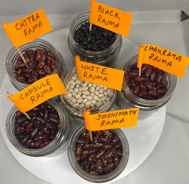 Trial Combo Pack of 6 Pahadi Rajma